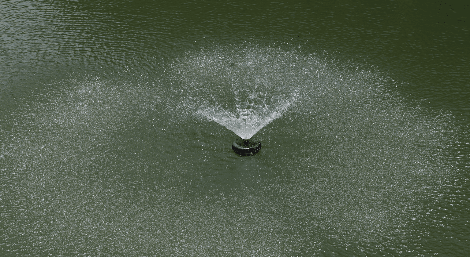Fountain spraying water in a pond.