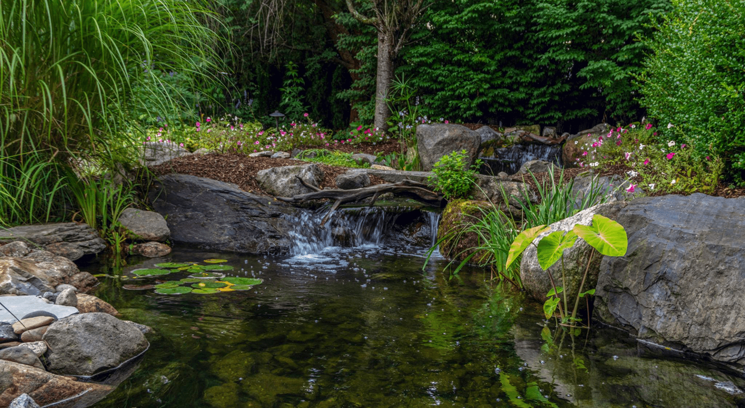 Garden pond with rocks and waterfall.
